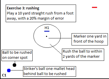 Exercise 3 - Rushing
